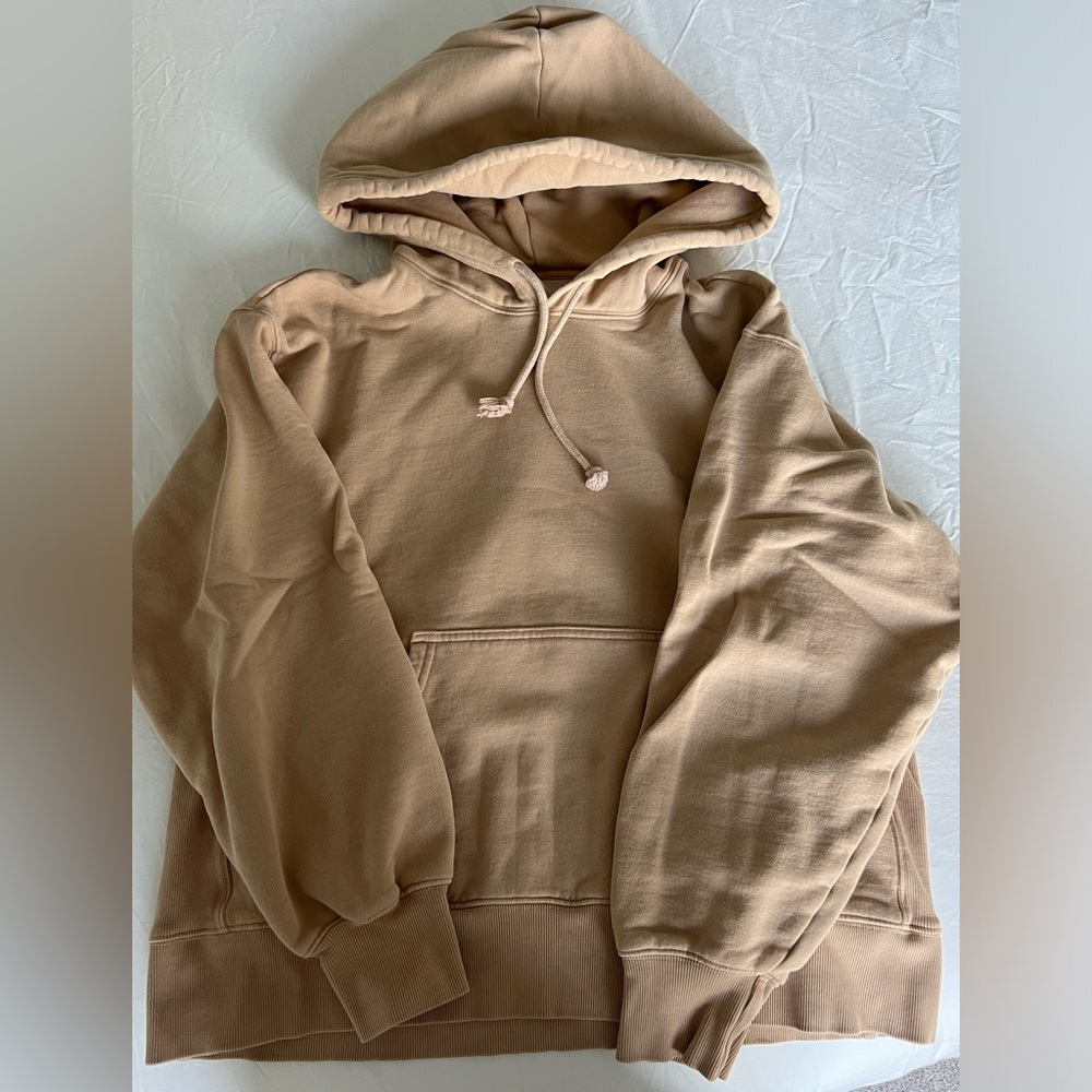 Aritzia Tna Cozy Fleece Hoodie